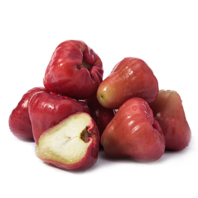 臺(tái)灣蓮霧-粵崗蔬菜配送